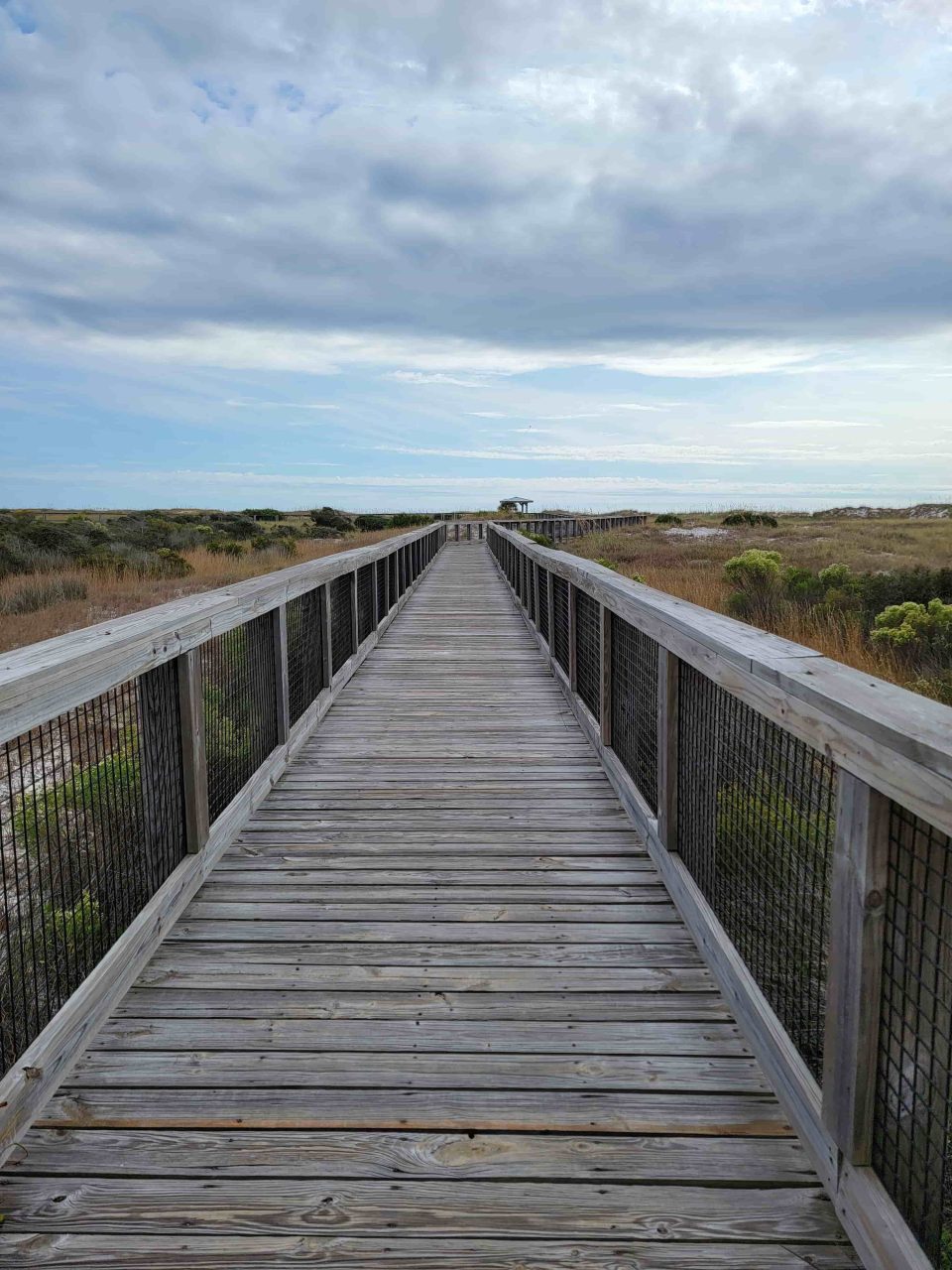 A rustic boardwalk leading the way through natural landscaping towards a beach.