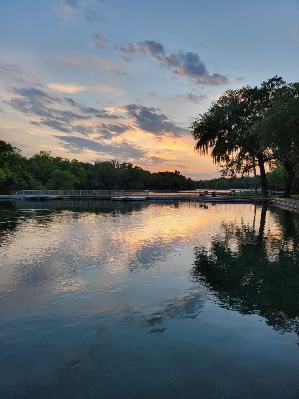 A calm, scenic lake in Florida surrounded by trees at sunset.